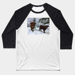 Scottish Highland Cattle Calves 1624 Baseball T-Shirt